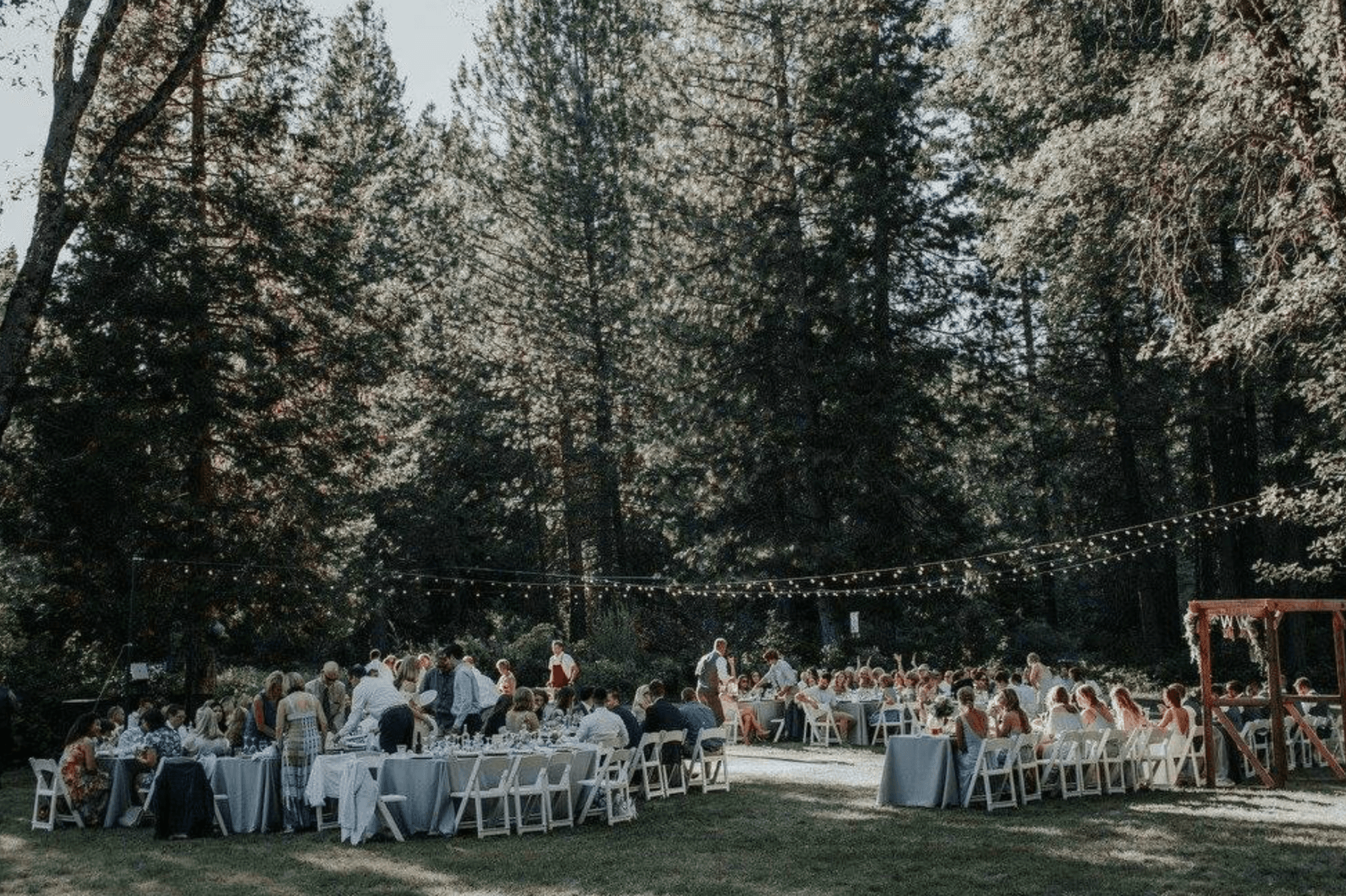 A large outdoor gathering features guests seated at tables under string lights, surrounded by tall pine trees.